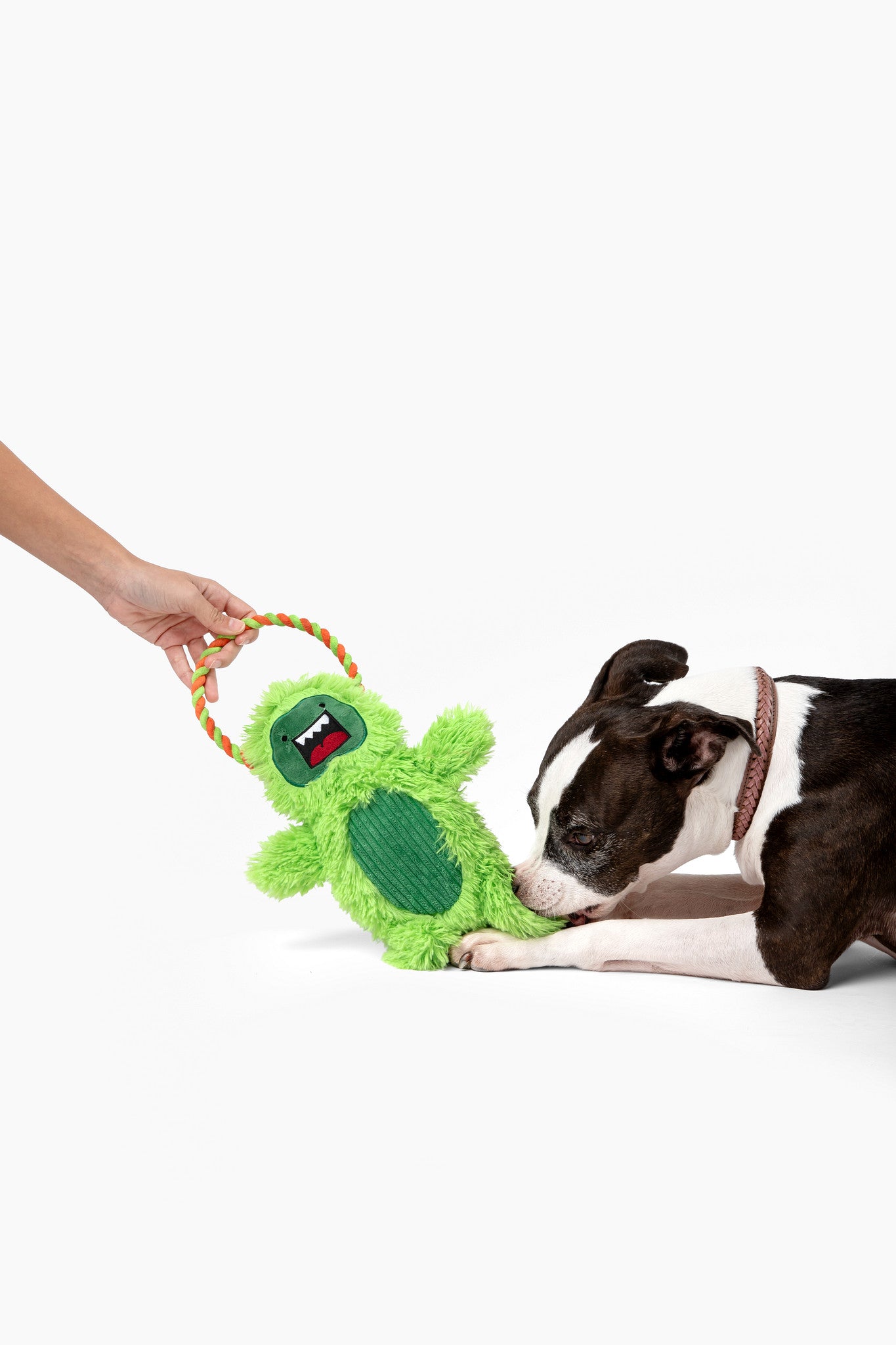 Crinkle Tug Green Monster 15"