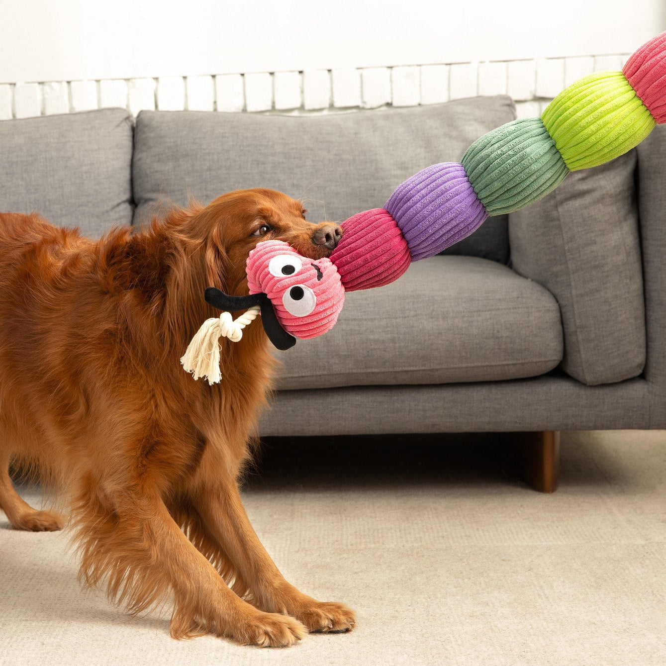 Bold Rope Caterpillar 45"