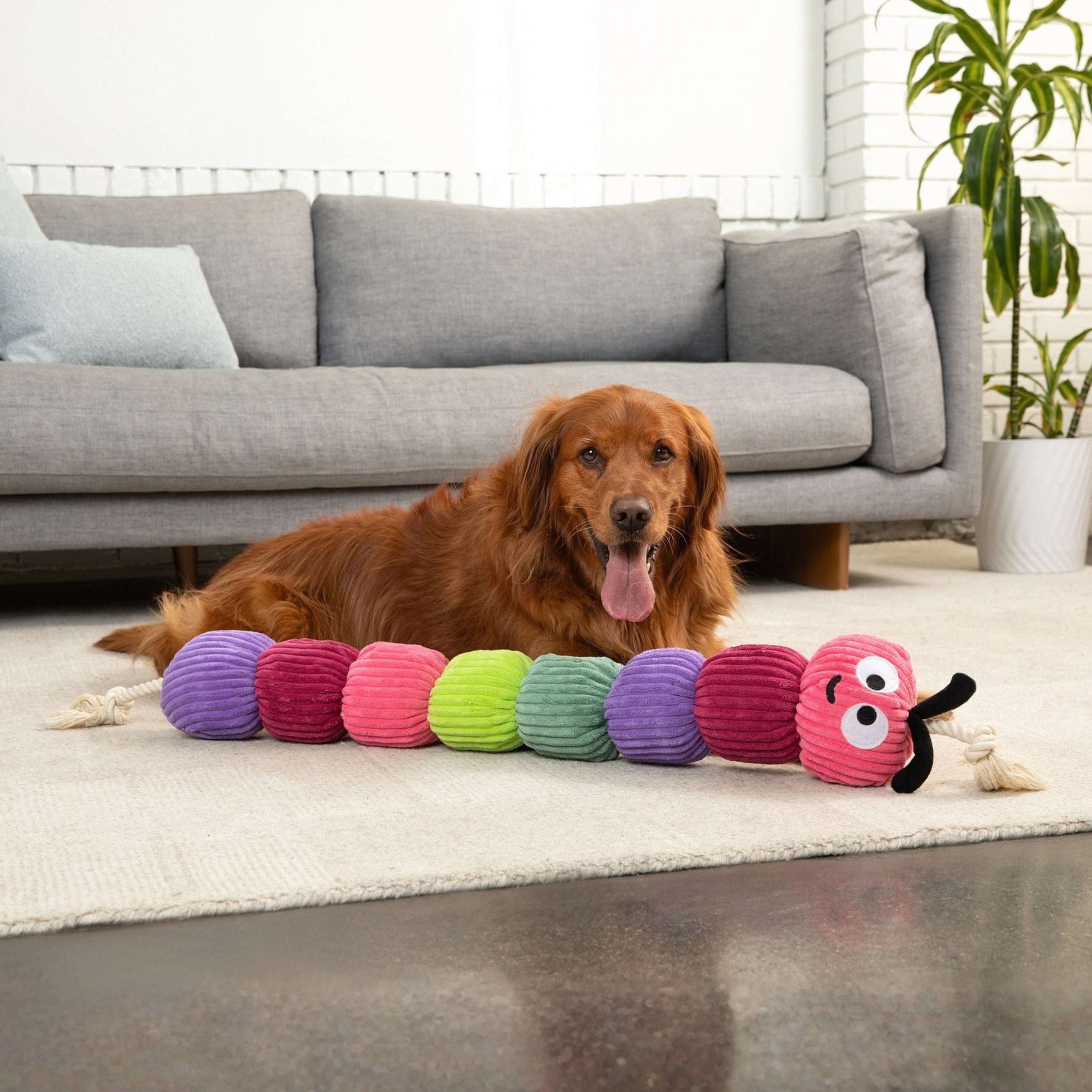 Bold Rope Caterpillar 45"