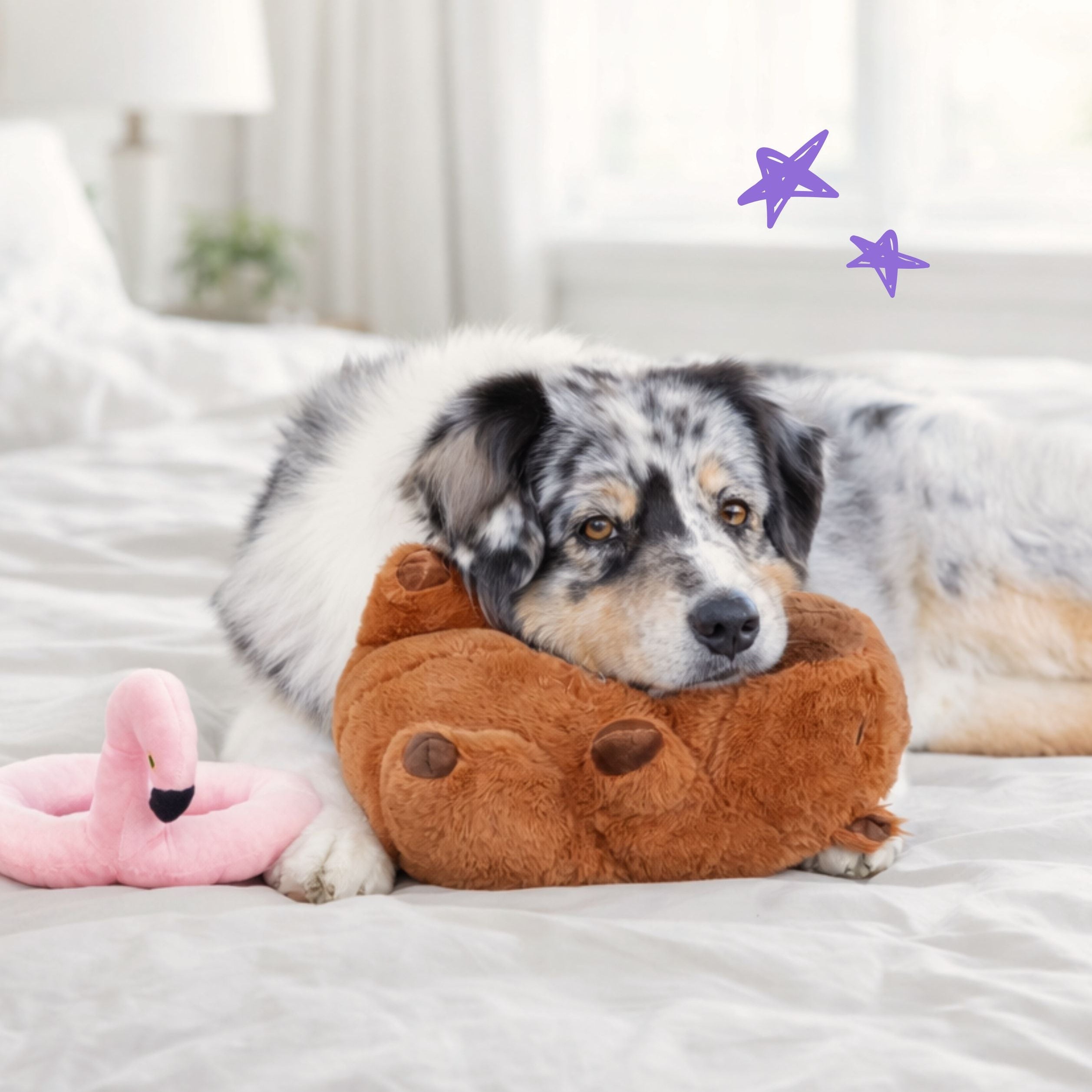 Capybara with Flamingo Floaty 11"