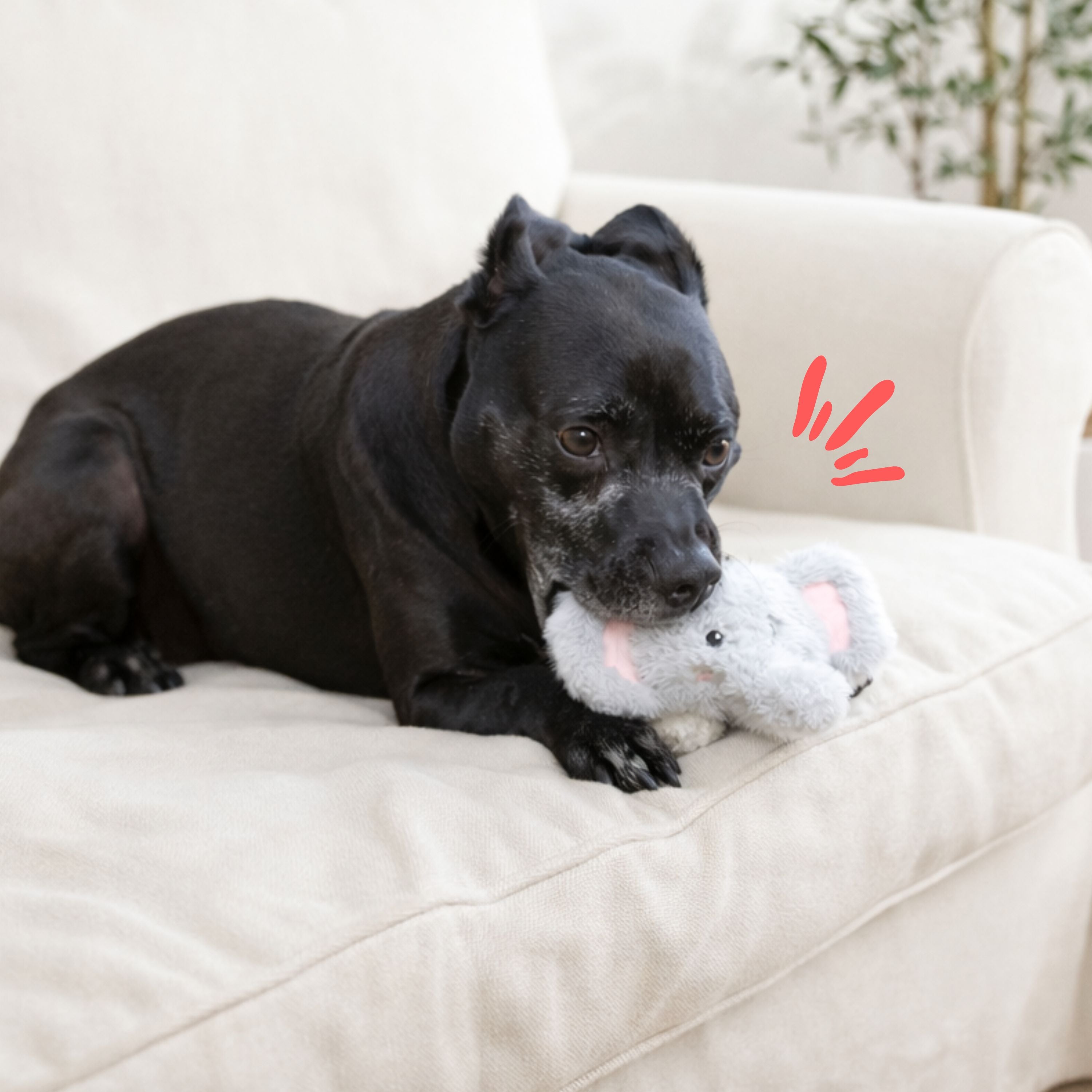 Pricklet Elephant 4"