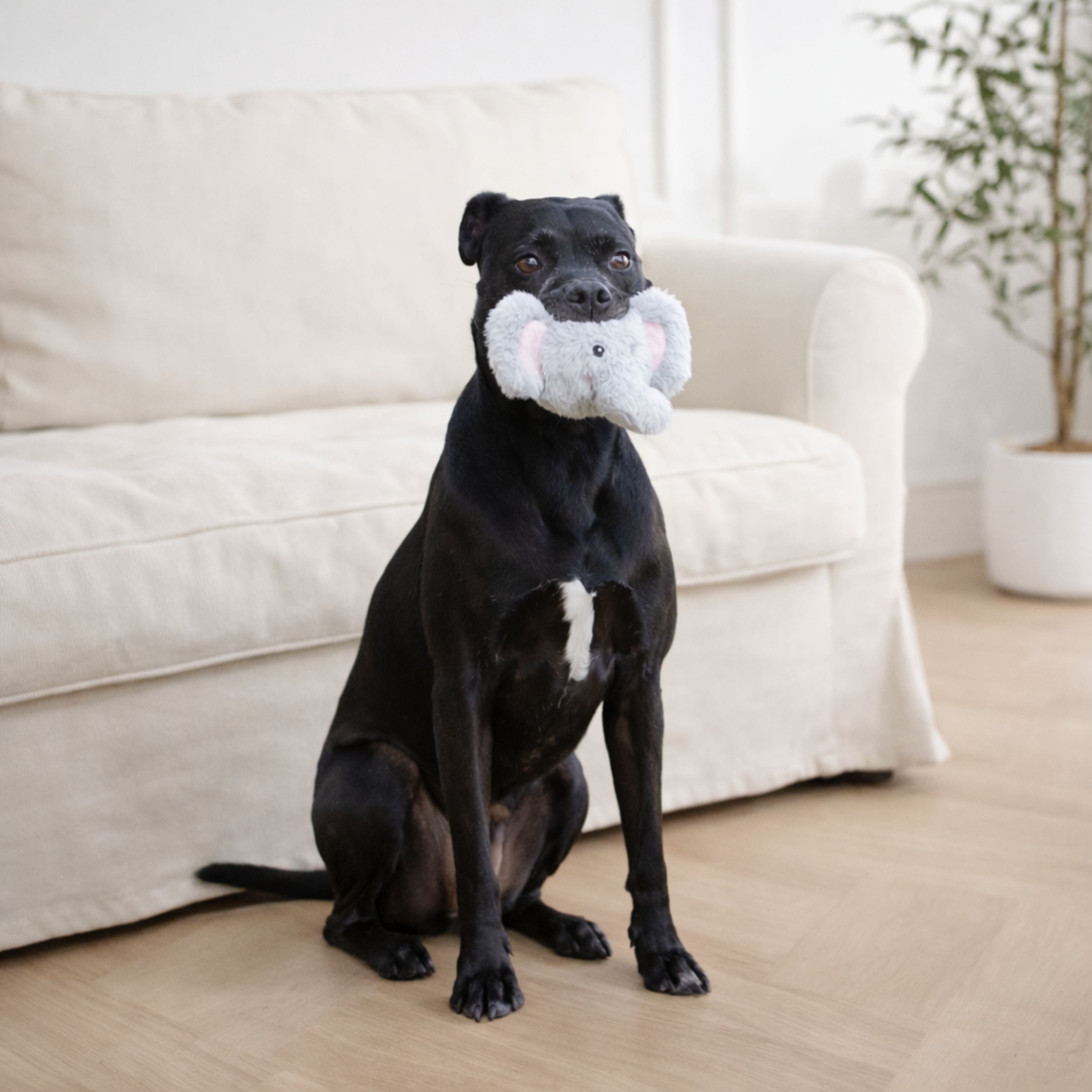 Pricklet Elephant 4"