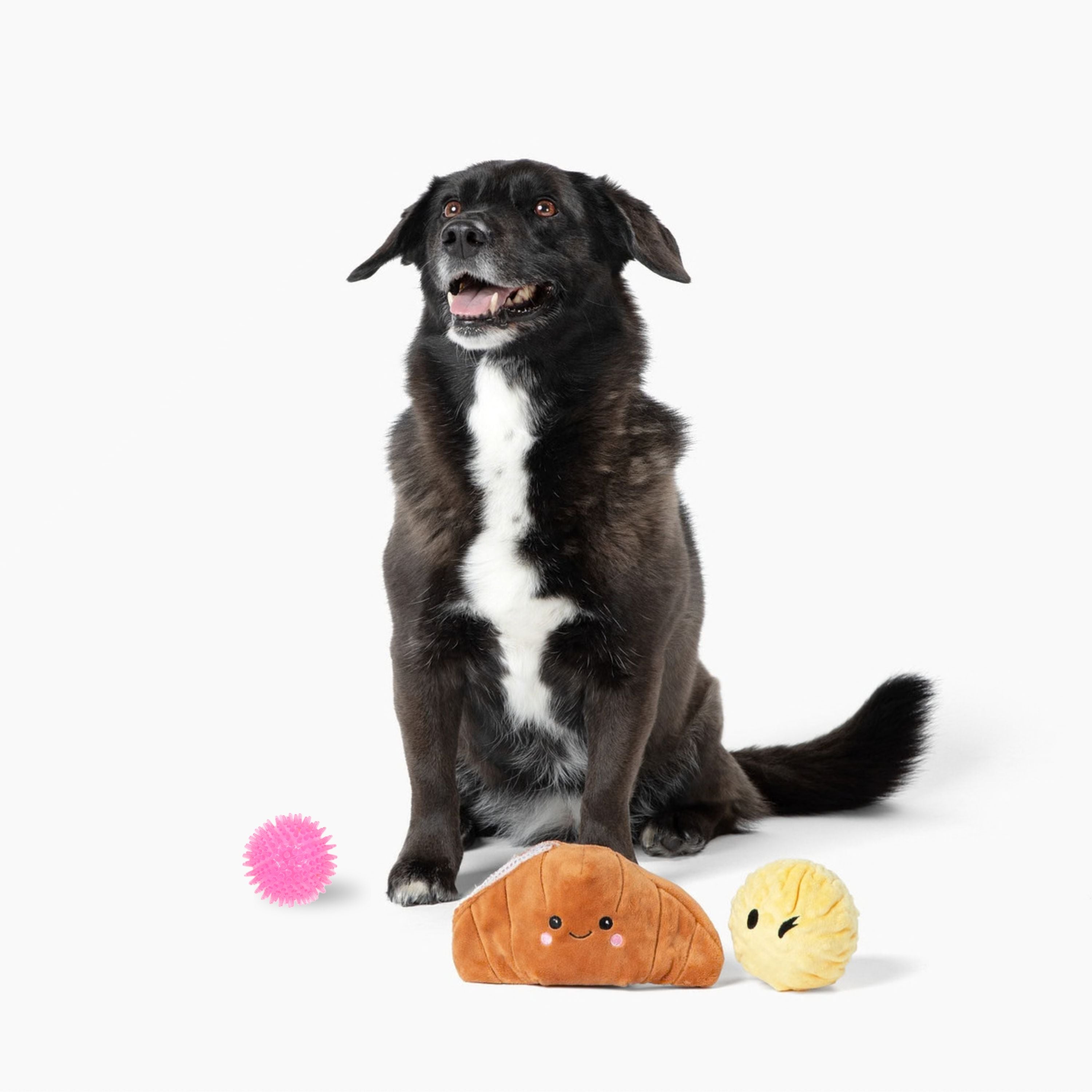 Prickles Croissant with Butter 5"