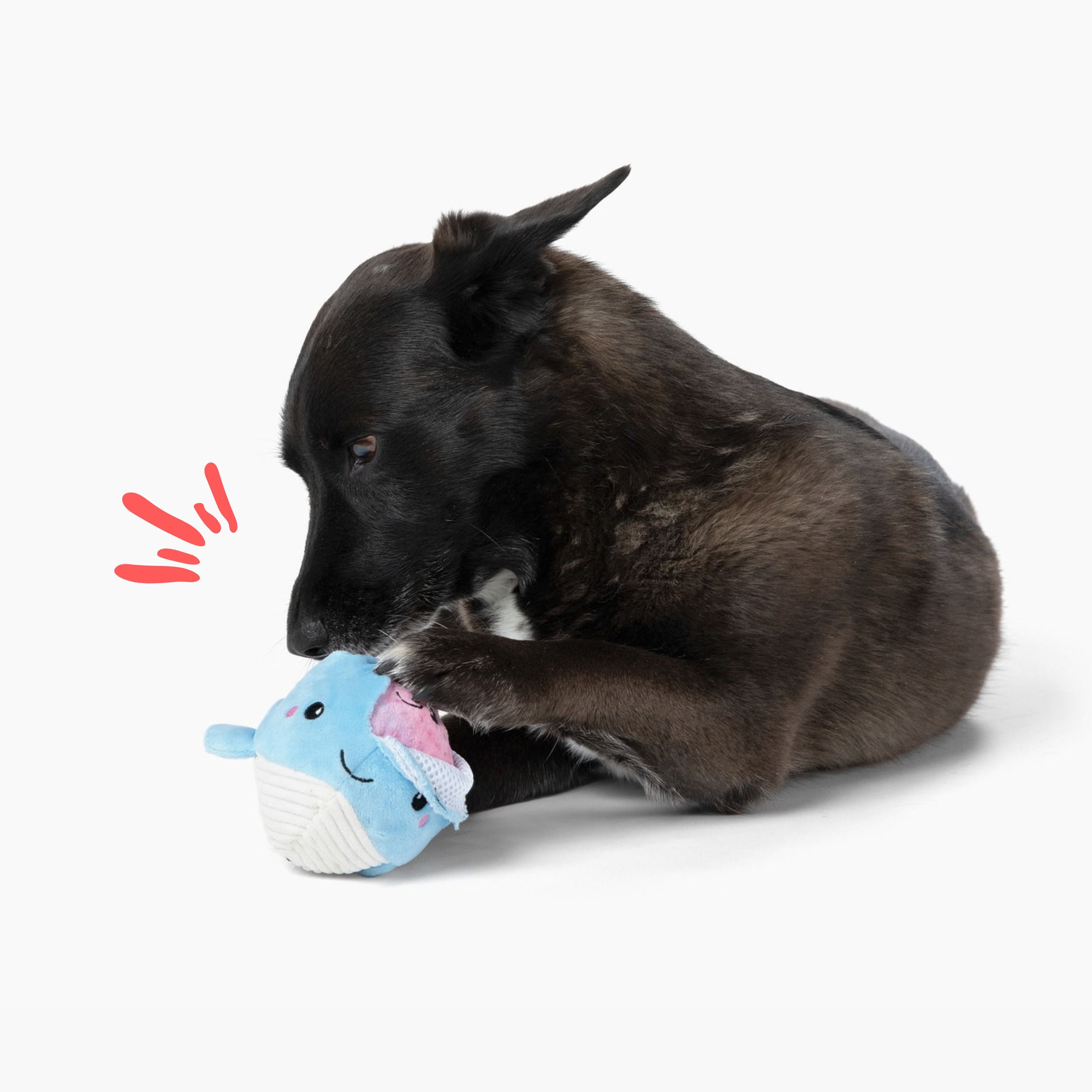 Prickles Whale with Aurora Bubble 5"