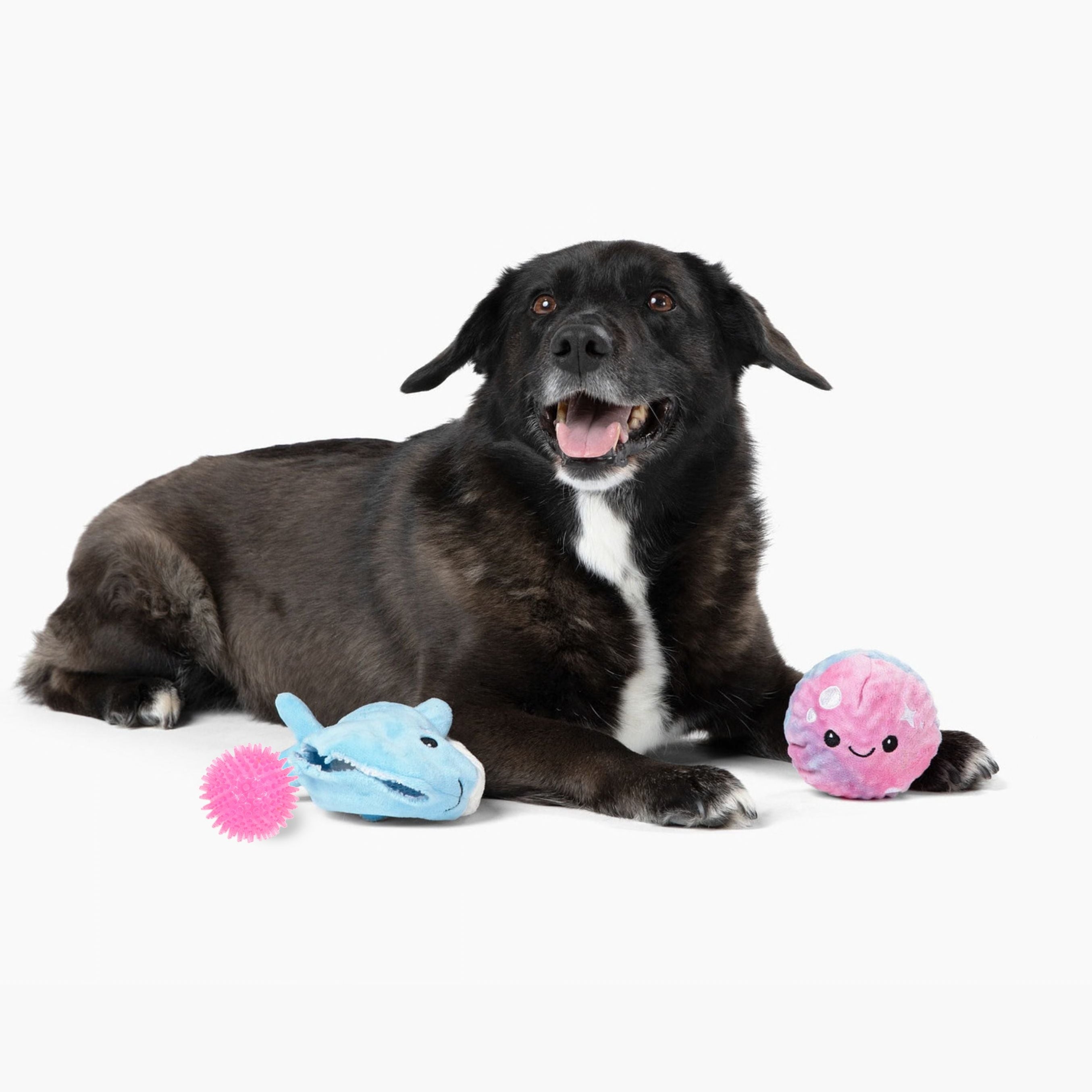 Prickles Whale with Aurora Bubble 5"