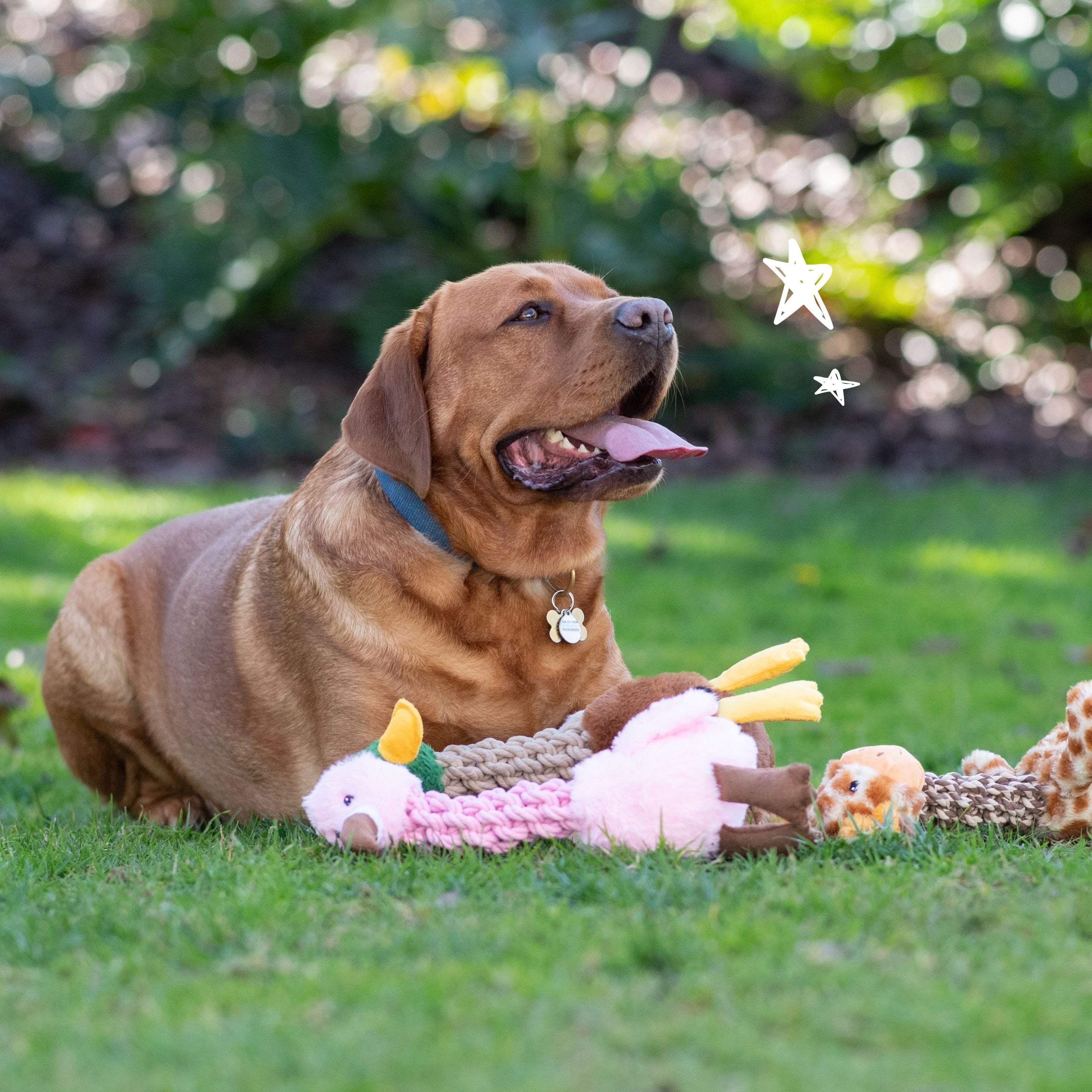 Tug and Toss Flamingo 15"