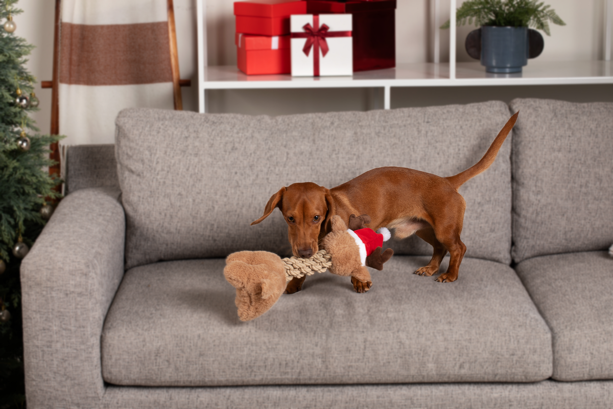 Tug and Toss Reindeer 15"