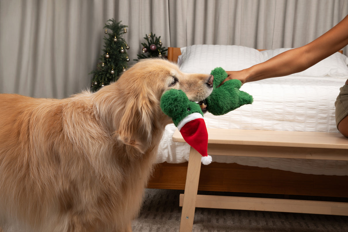 Tug and Toss Christmas Dinosaur 15"