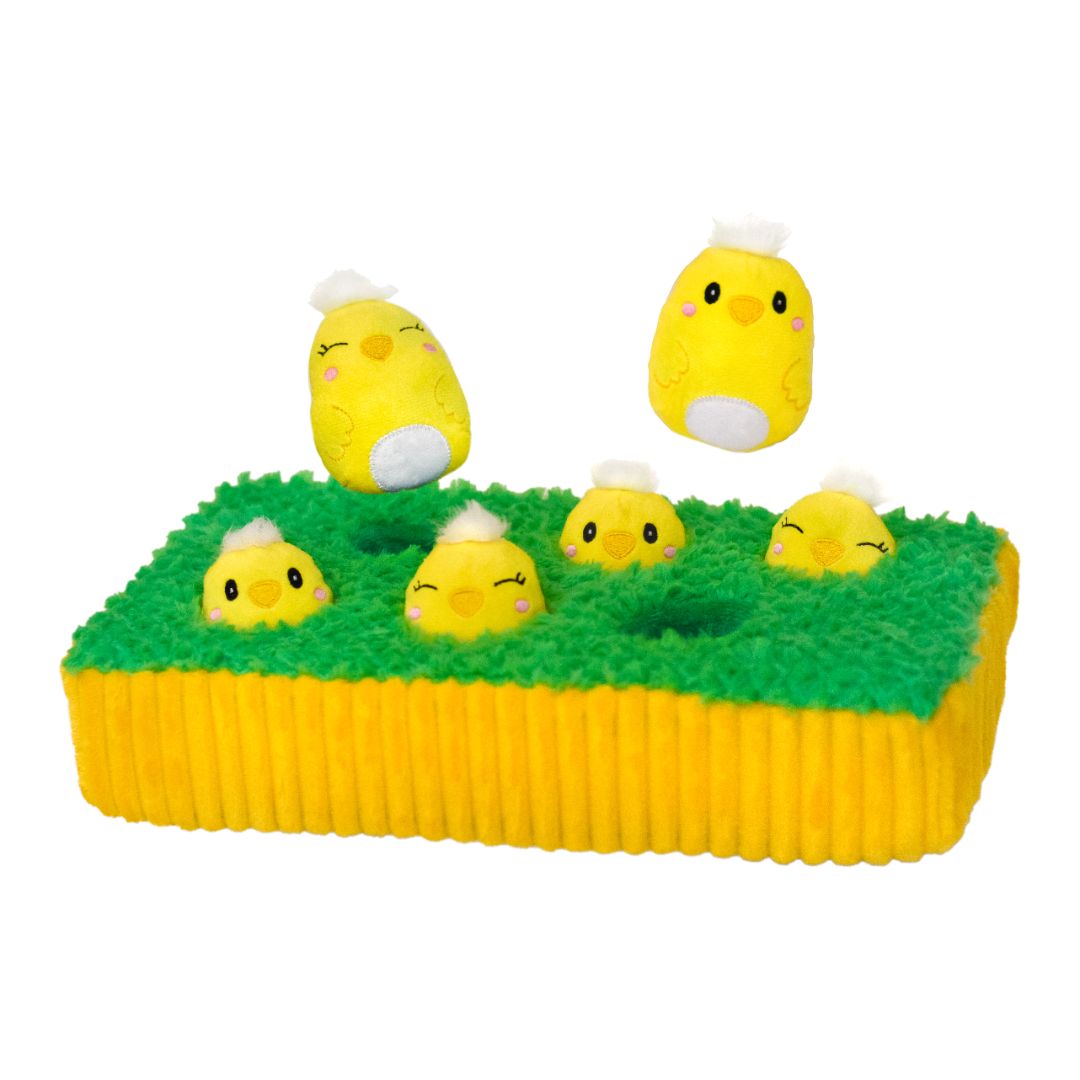Chicks in the Grass