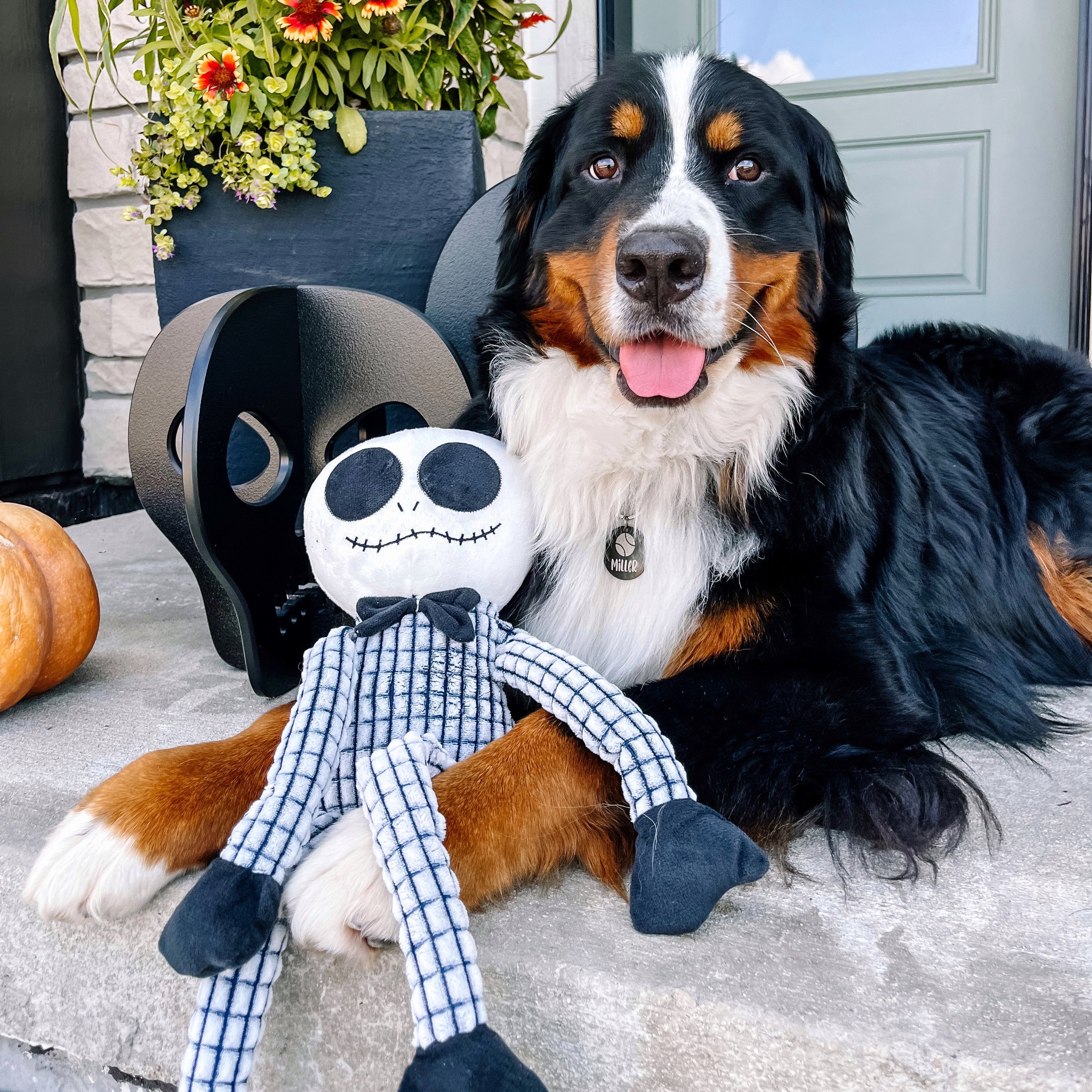 Muttley Skeleton