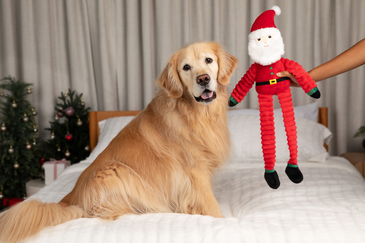 Muttley Happy Santa 24"