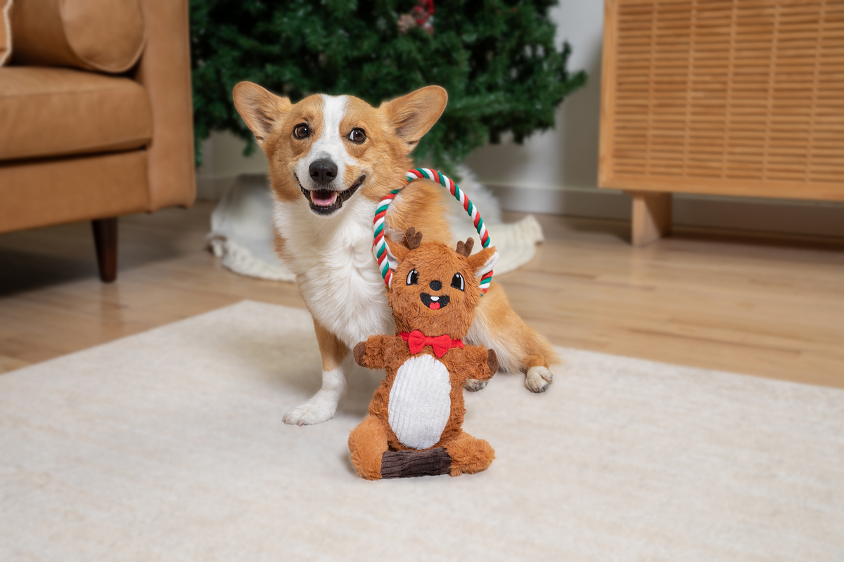 CrinkleTug Reindeer 15"