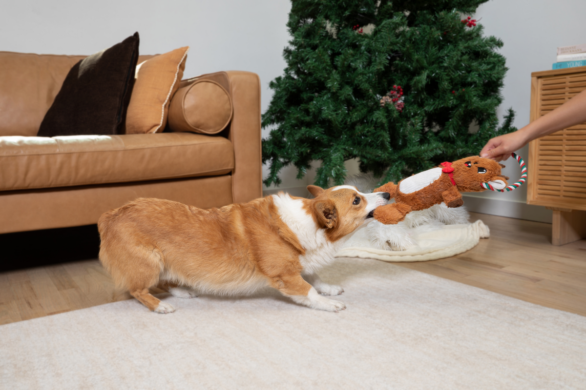 CrinkleTug Reindeer 15"