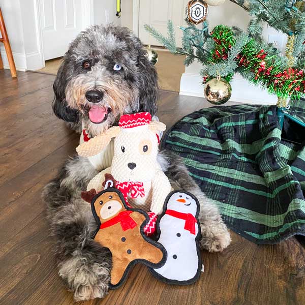 Playful Pair Holiday Dog 15"