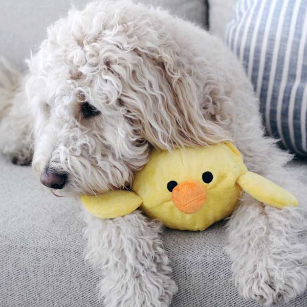 Chick + Egg Prickles