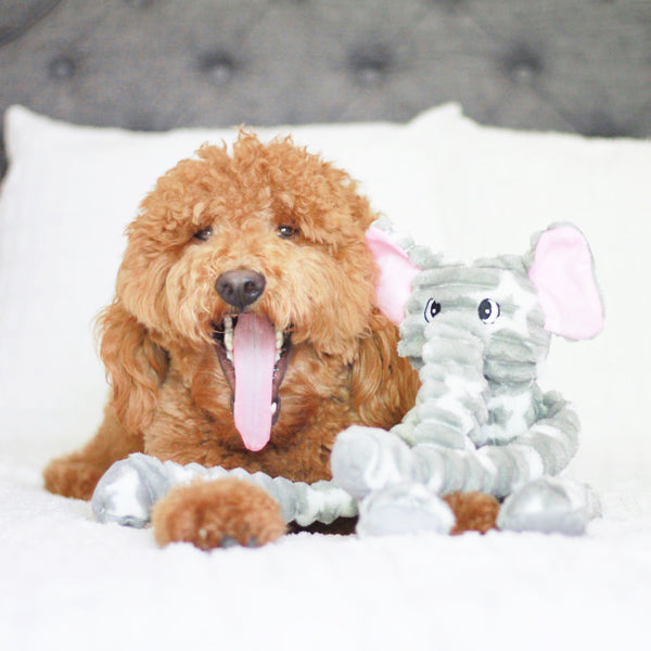 Patchwork Pet Tug Elephant Plush Dog Toy with Goldendoodle Dog