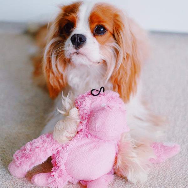 Patchwork Pet pastel gorilla Plush Dog Toy with king charles cavalier dog