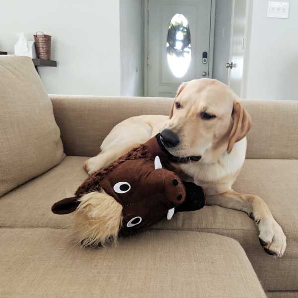 Warthog plush dog toy patchwork pet plush dog toys