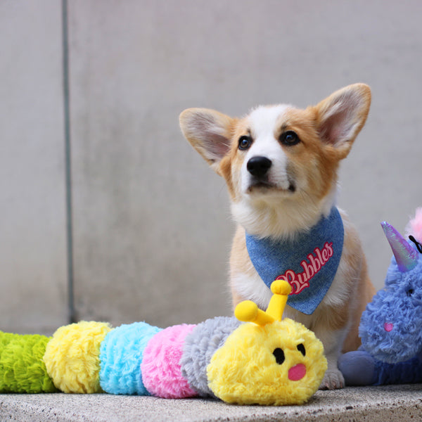 Patchwork Pet Plush Caterpillar Dog Toy with Corgi Dog