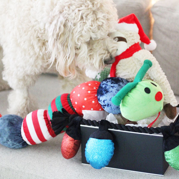 20 Amazon Holiday Dog Gifts Under $20