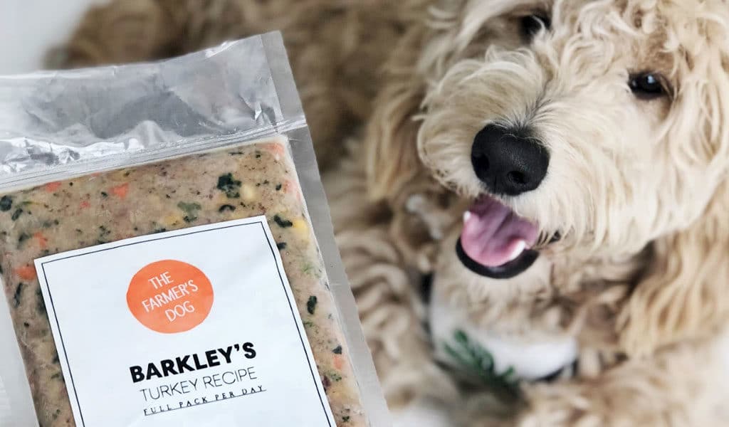The Best Dog Food Delivery Services