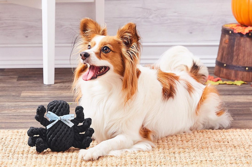 Fall Themed Gift Guide For Dog Lovers