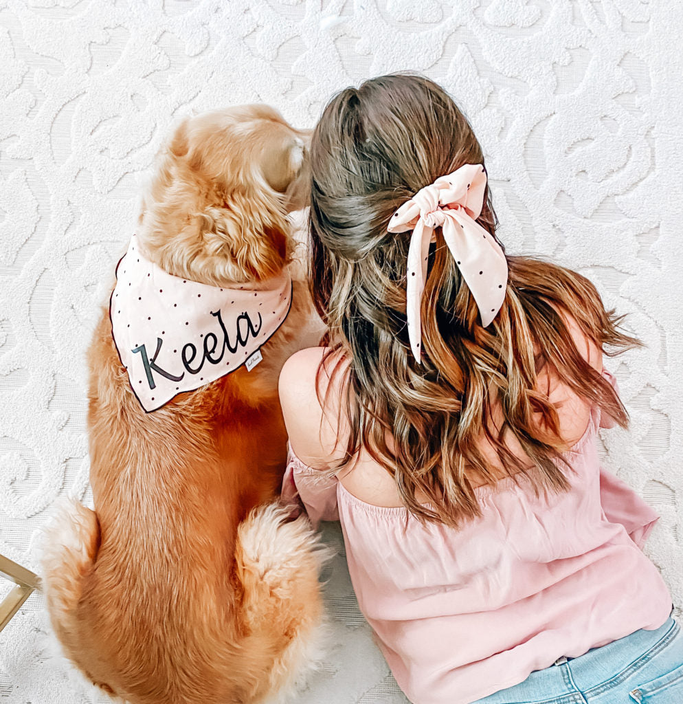 How to Grow your Dogs Instagram- Engagement Tips