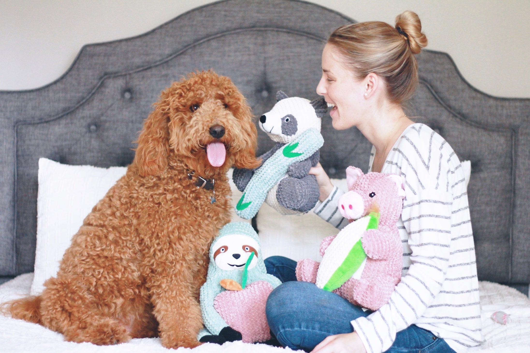 5 Best Dog Toys for Goldendoodles and Labradoodles