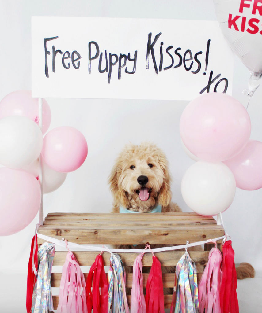10 Free Valentines Day Cards For Dog Lovers