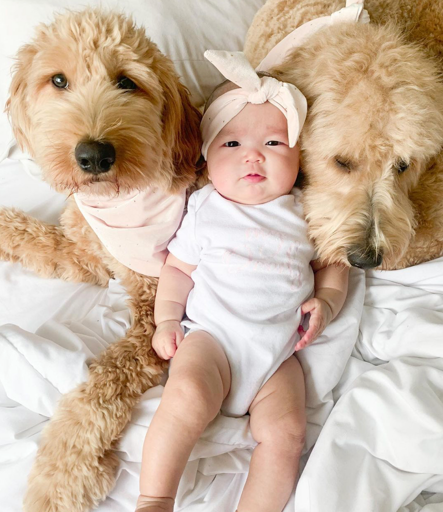 4 Things All Dog Mom's Need To Know Before Having A Baby