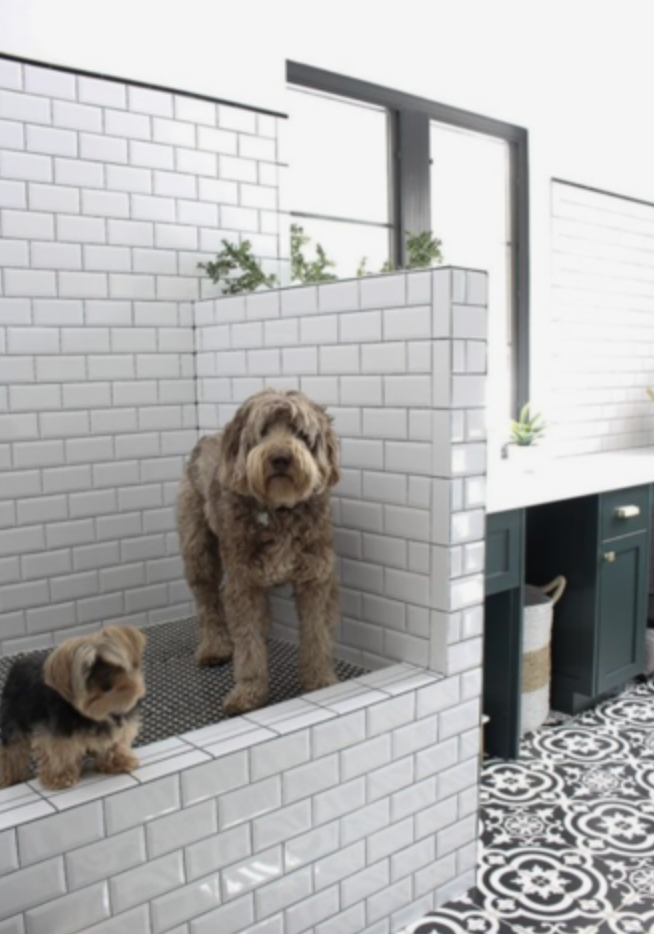 Dog Friendly Home Renovations