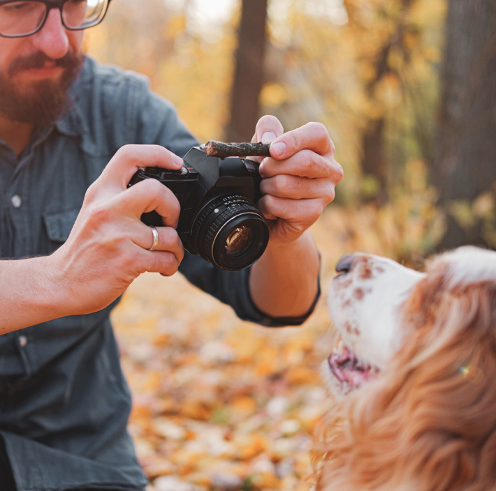 3 Ways To Capture The Perfect Photo Of Your Dog