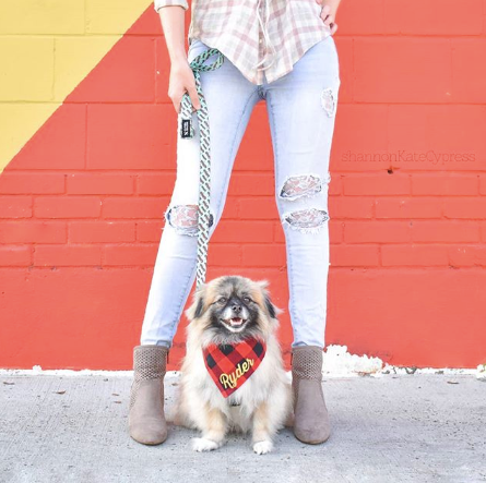 A Dog Friendly Travel Guide To Houston, Texas
