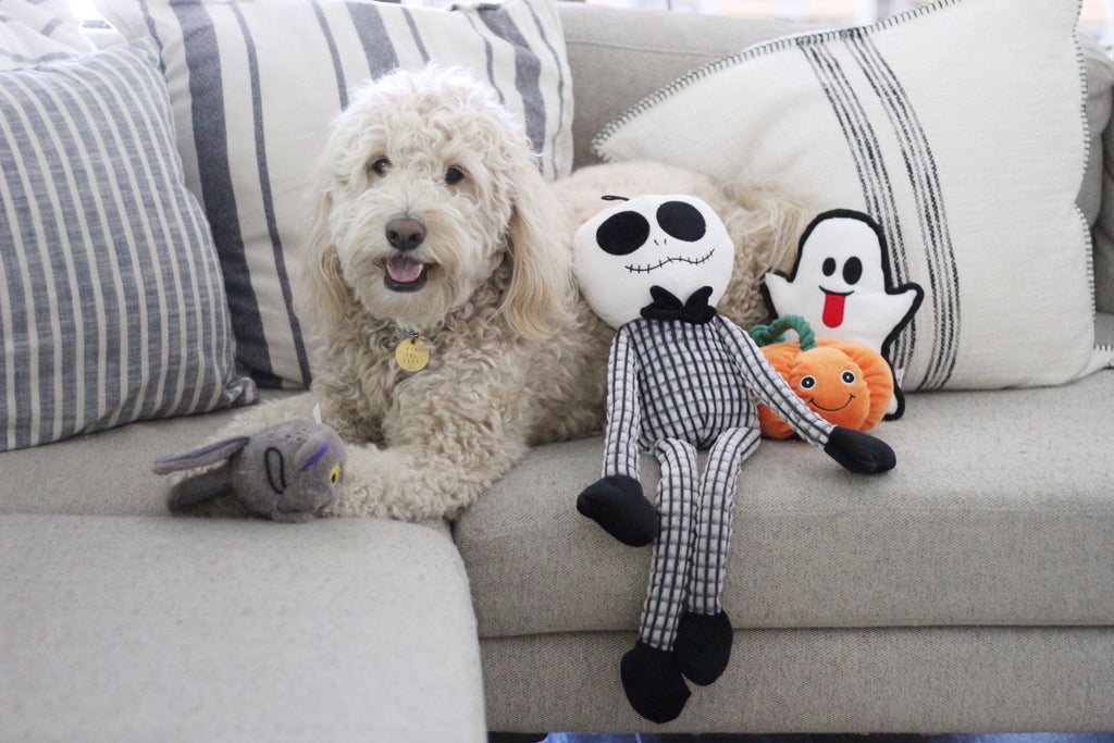 Halloween Dog Toy Collection