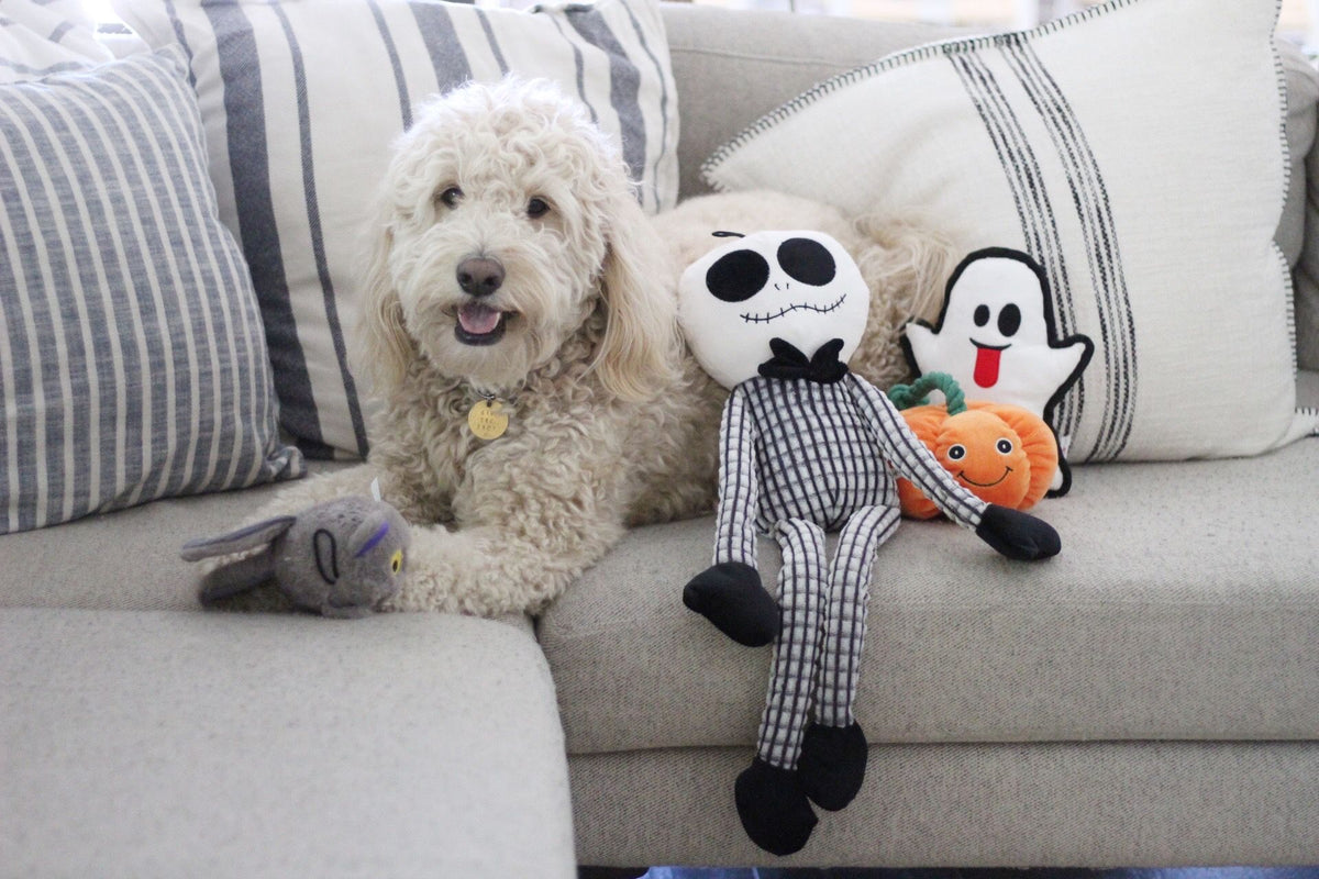 Halloween Plush Dog Toy Collection | Patchwork Pet – PatchworkPet