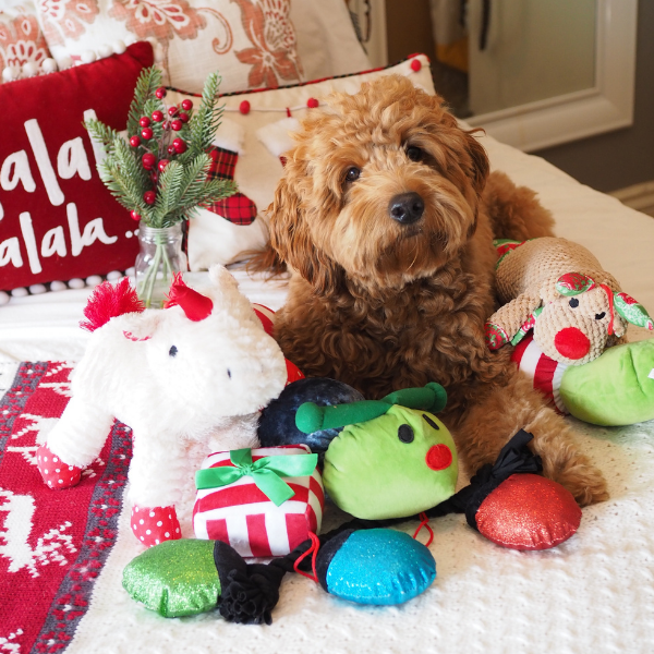 Holiday Toys For Small Dogs