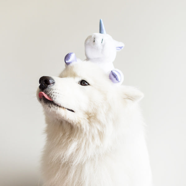 Plush Dog Toys