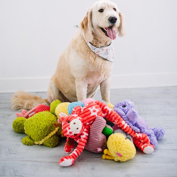 All Dog Toys
