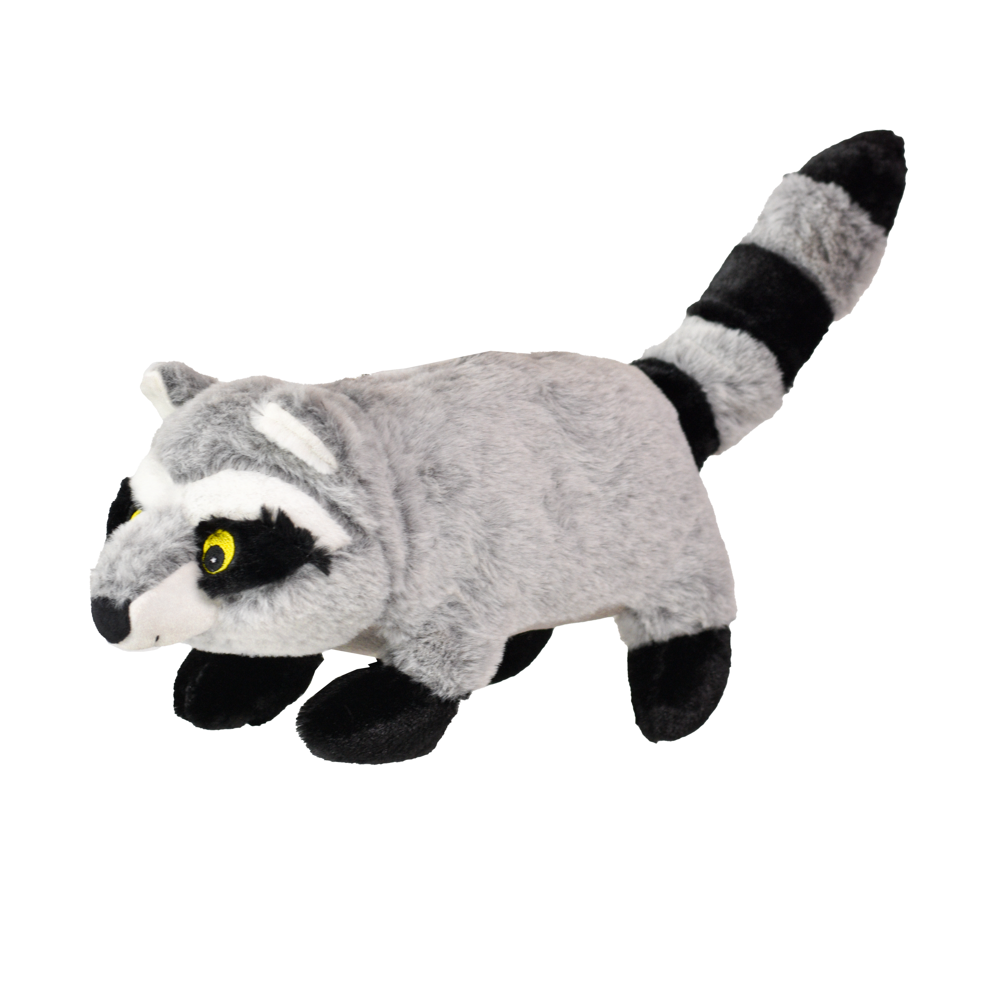 Raccoon
