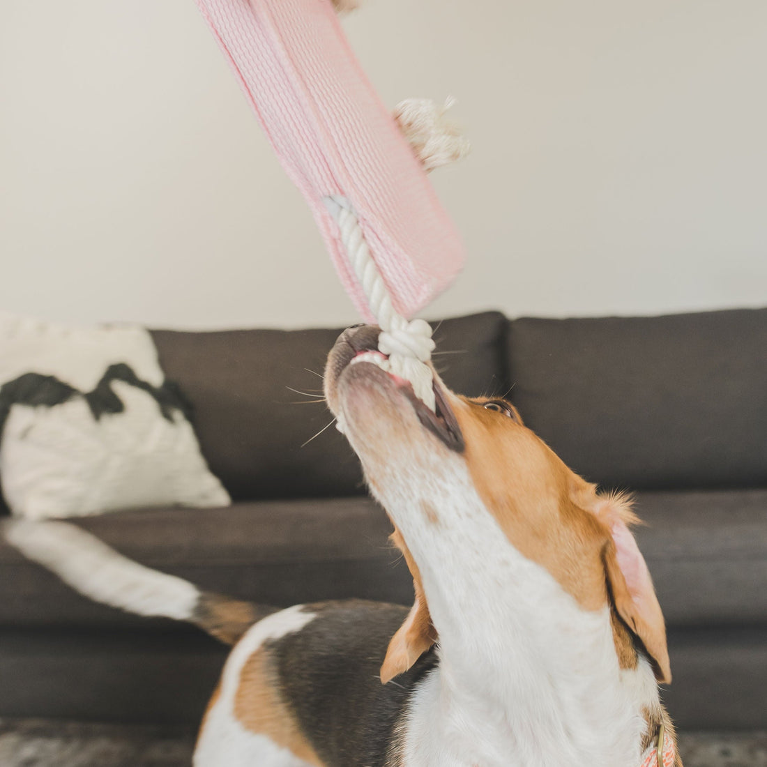Pig Stick 15"