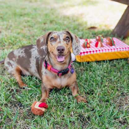 Snacks at a Picnic