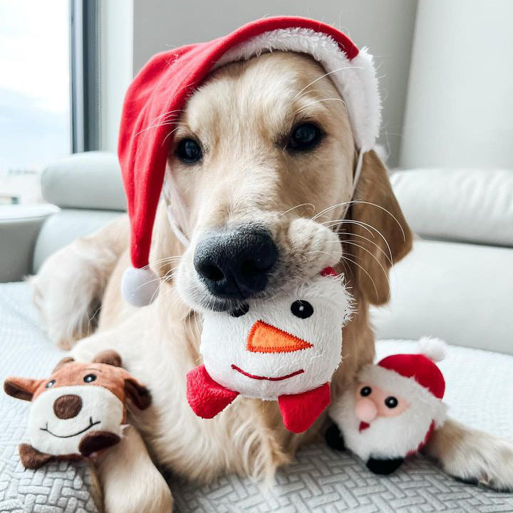 Holiday Friends Trio 4"