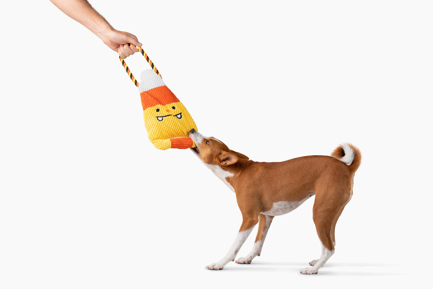 Crinkle Tug Candy Corn 15"