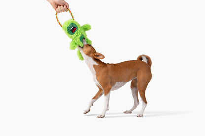 Crinkle Tug Green Monster 15"