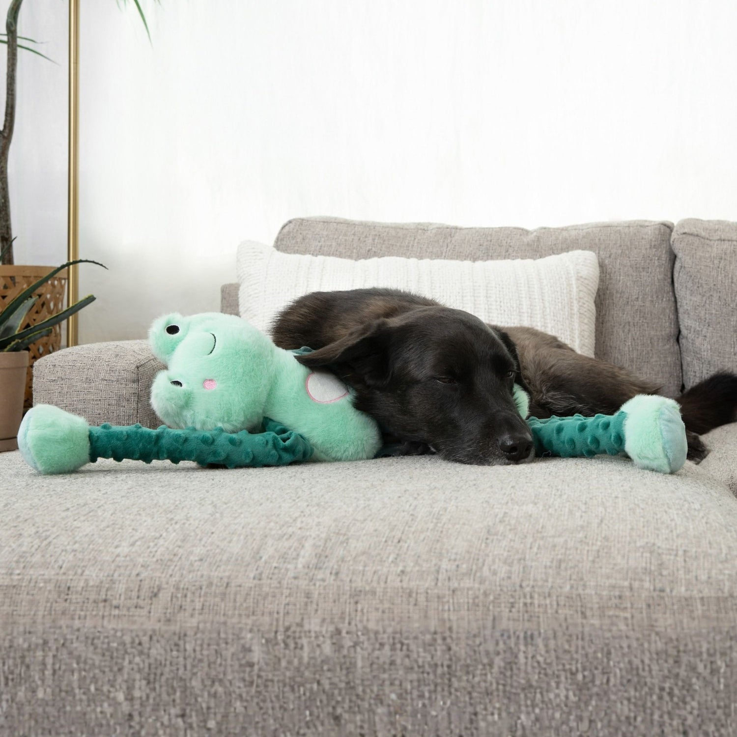 Fiona Frog 24"