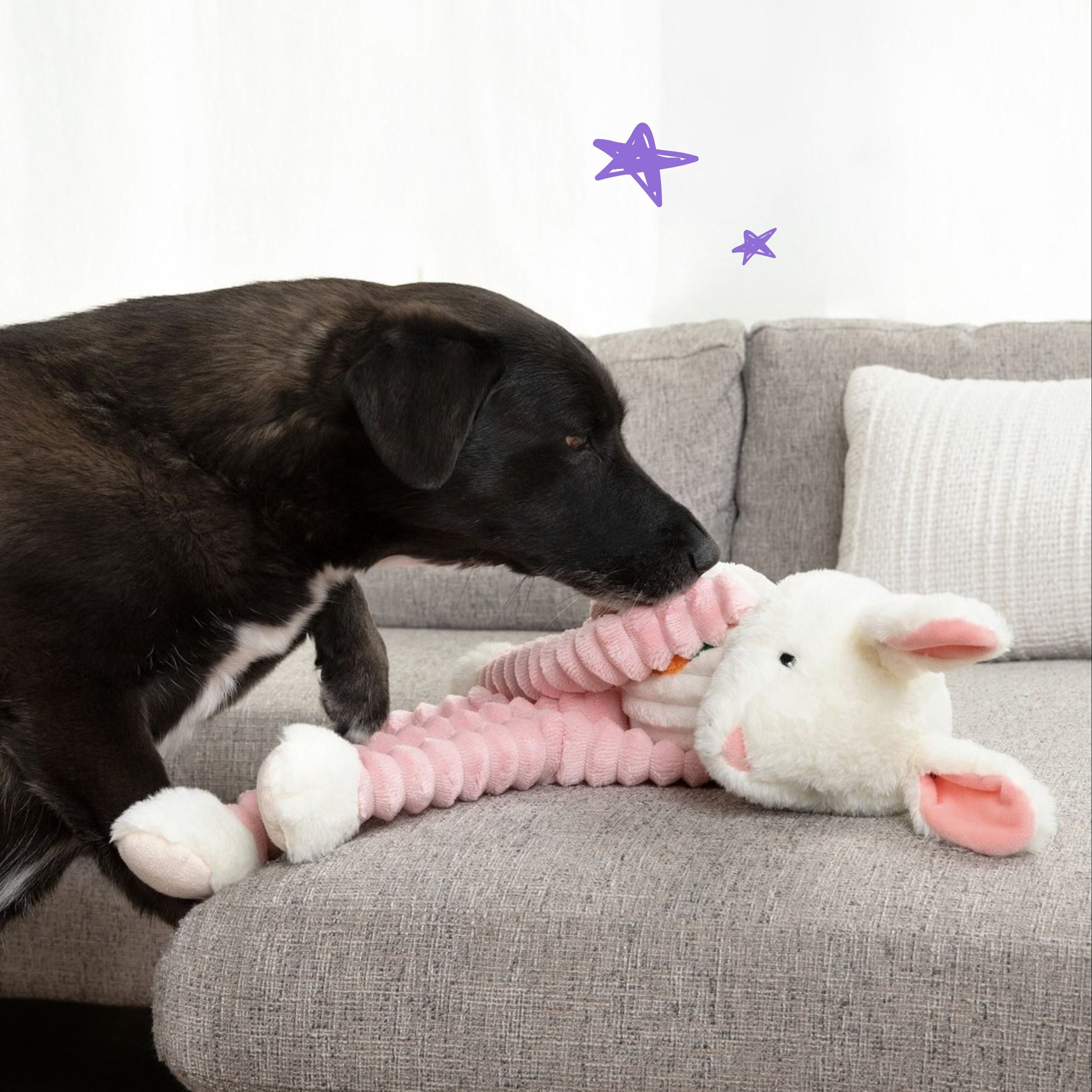 Ruby Rabbit 24"