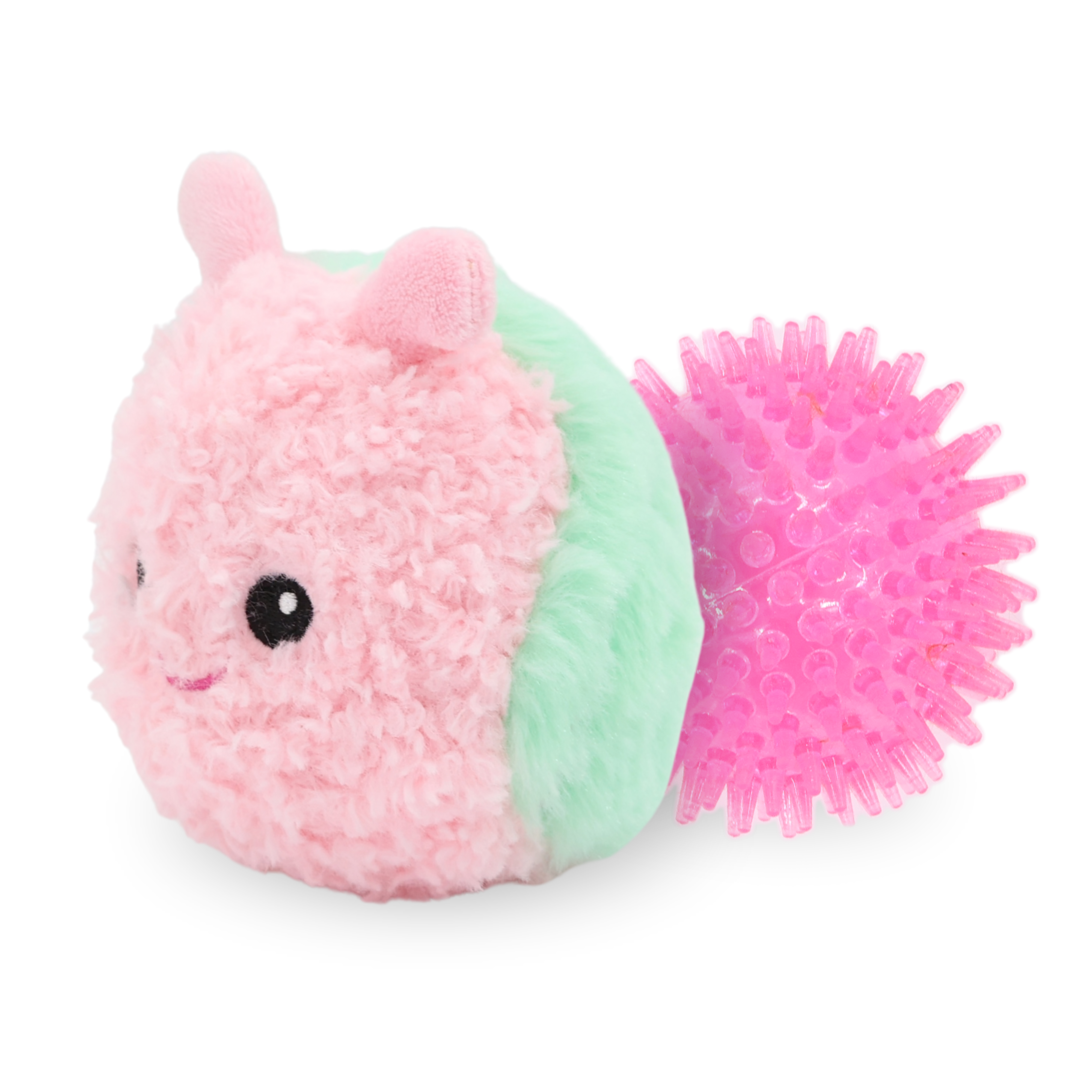 Pricklet Snail 4