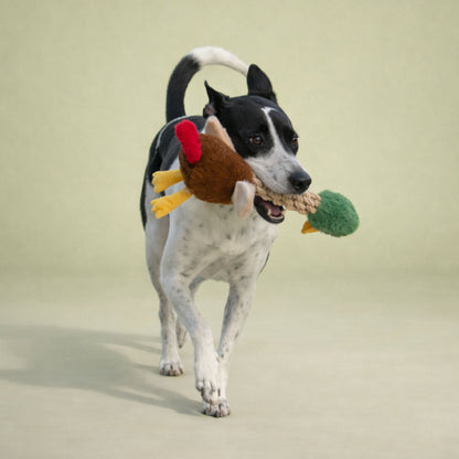 Tug and Toss Mallard Duck 15"