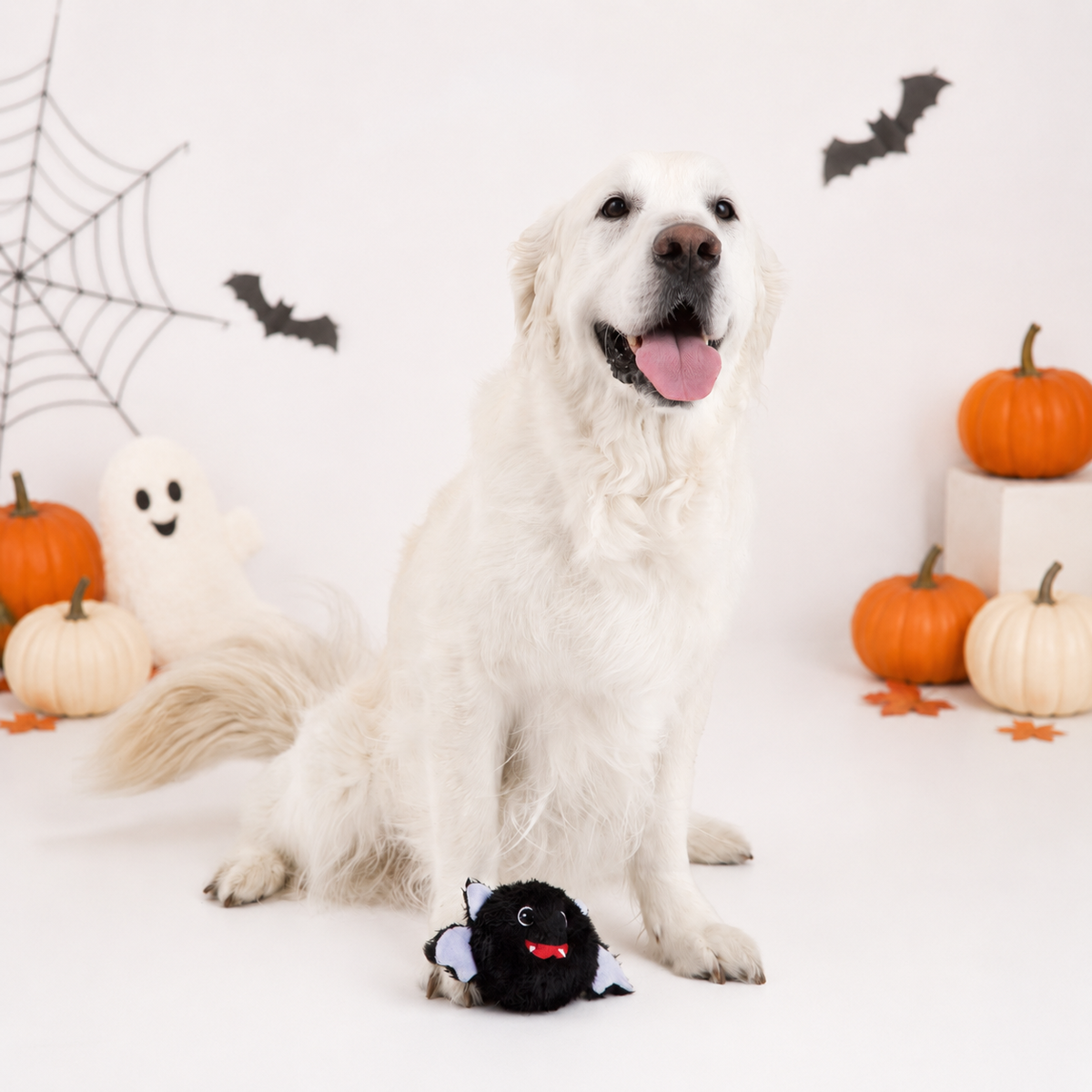 Pricklet Black Bat 4"