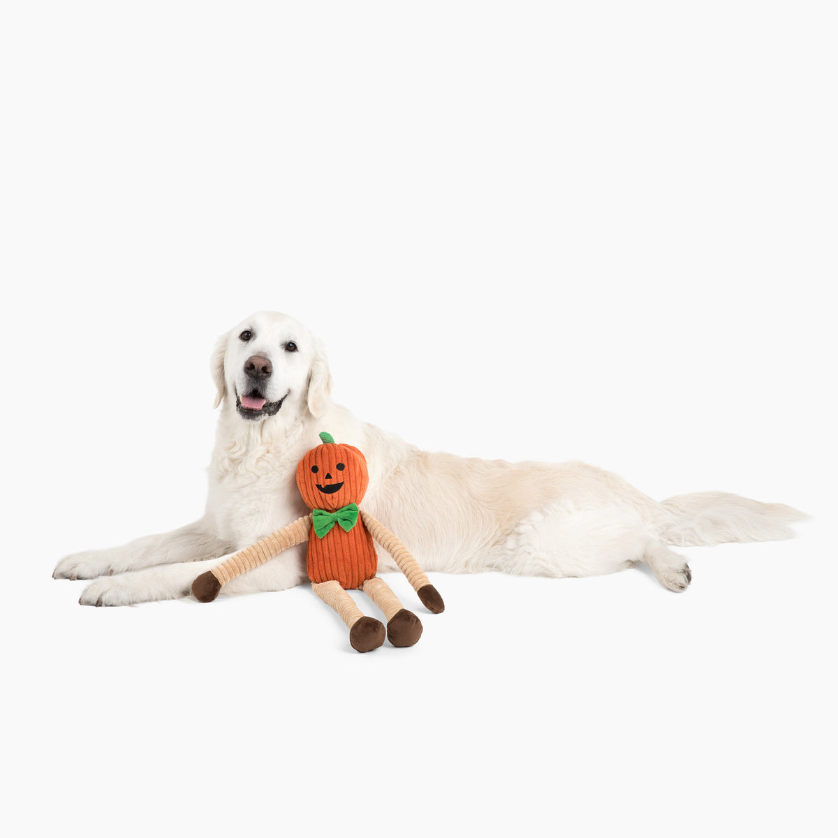 Muttley Pumpkin 24"